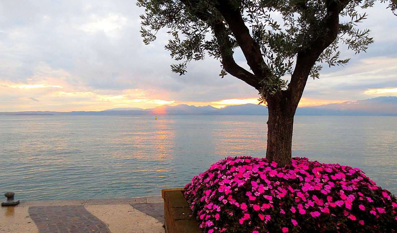 Lakeside Relaxation and Culinary Delights in Lazise