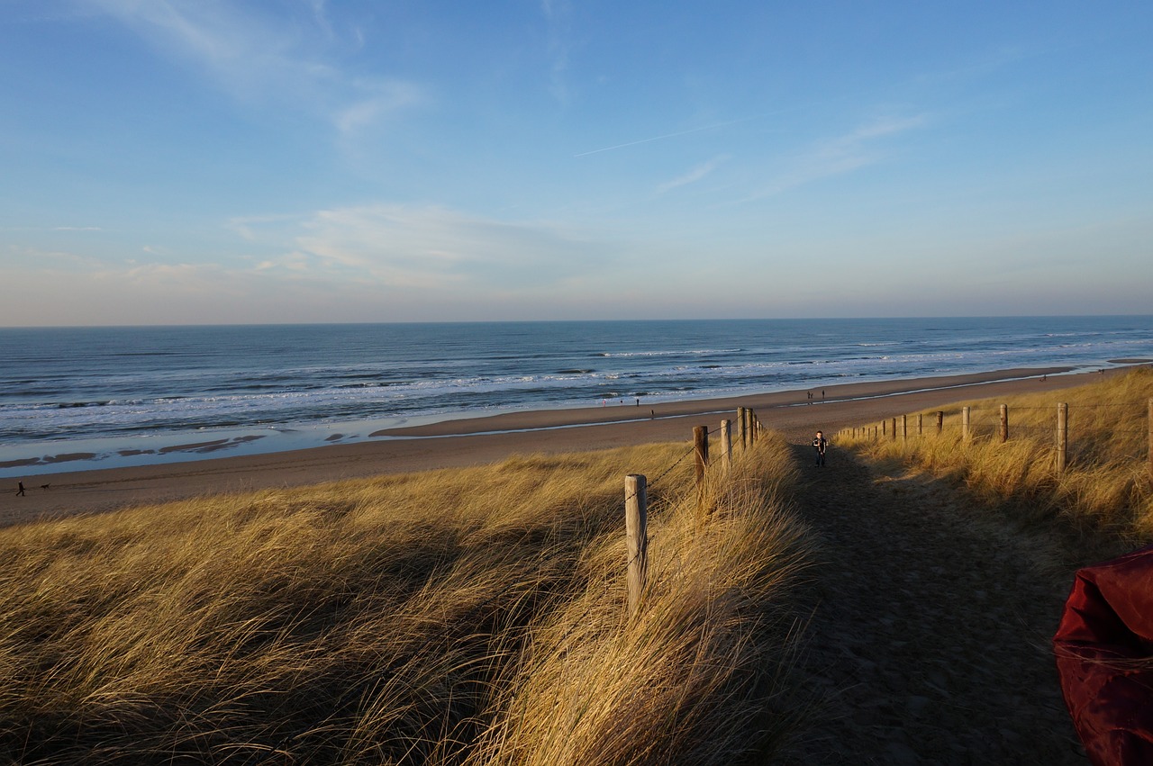 Tulip Paradise and Beach Bliss in Noordwijk