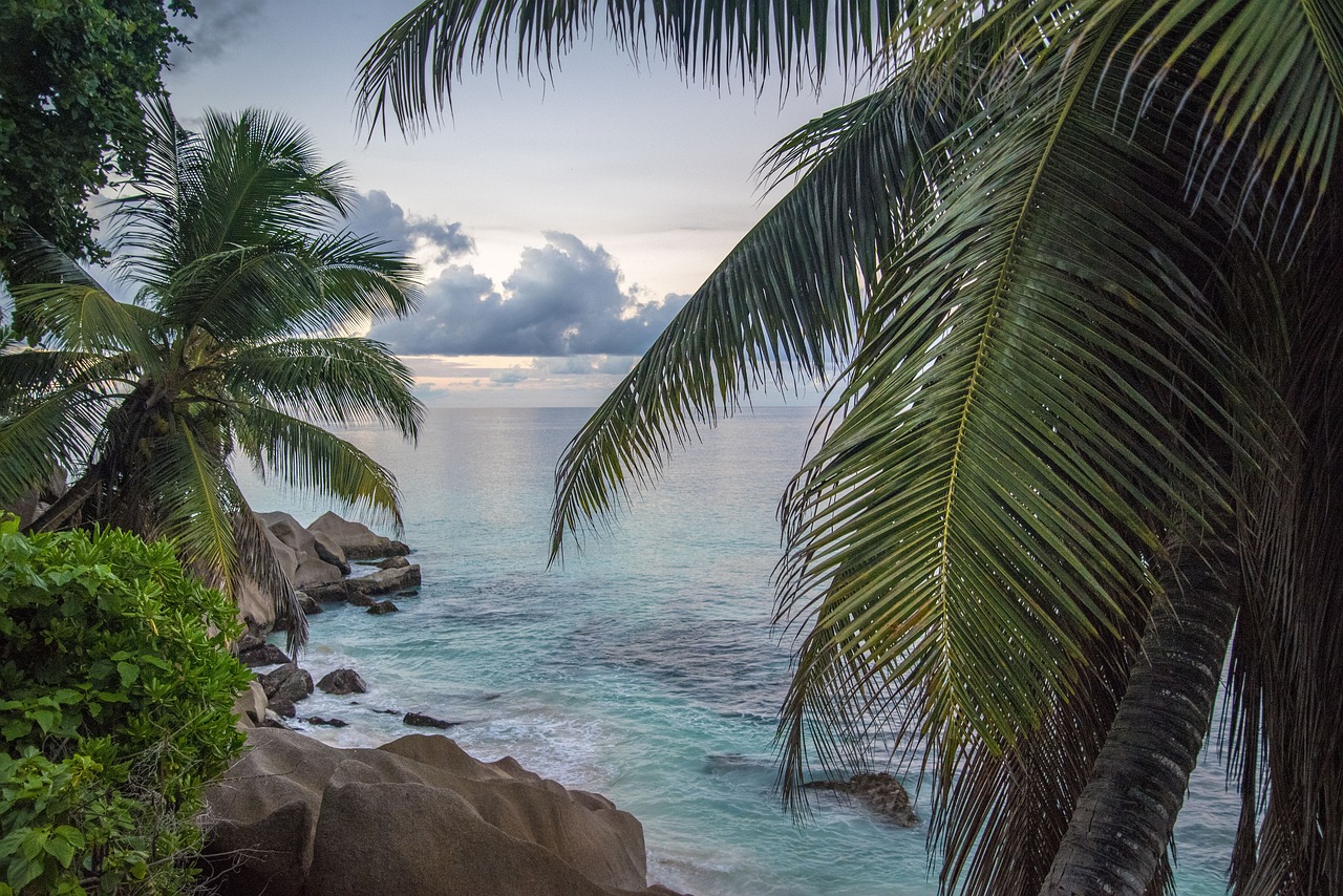 Island Paradise: Diving and Sunbathing in Mahé, Praslin, and La Digue