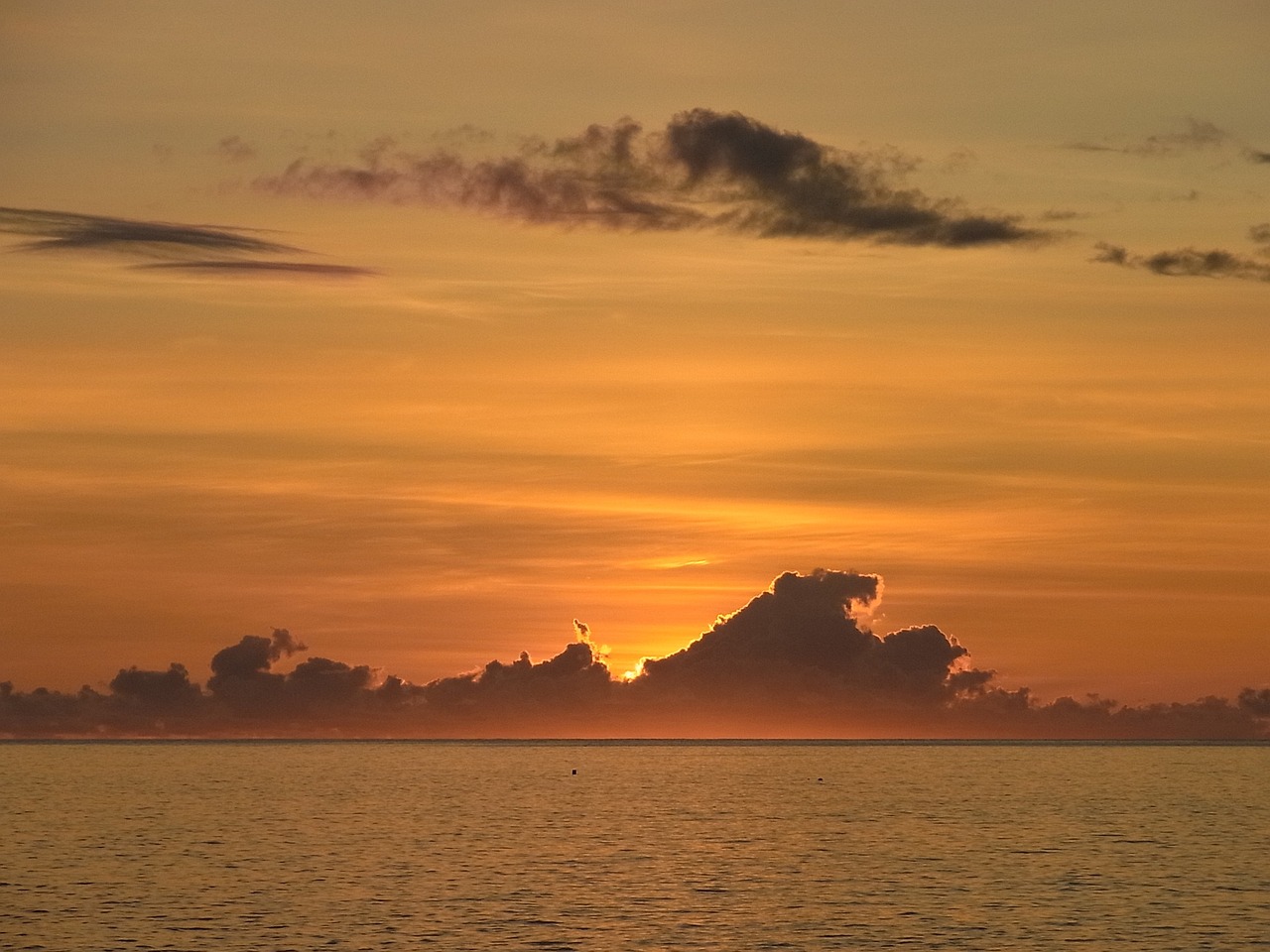 Tropical Delights in Kailua-Kona