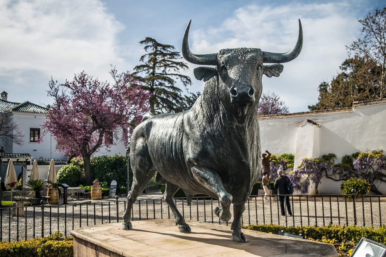 Culinary Delights in Toro, Spain