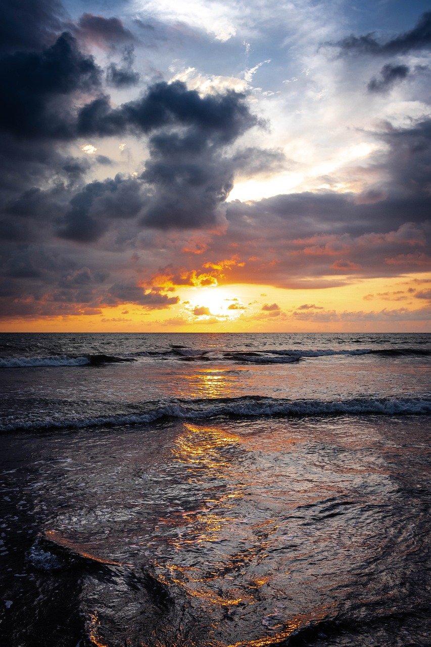 Tropical Paradise in Puerto Vallarta