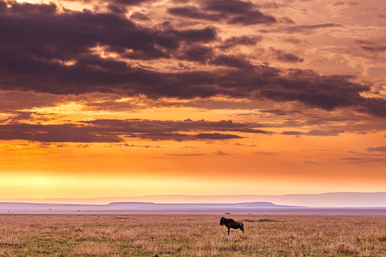 Aventura en la Naturaleza de Kenia