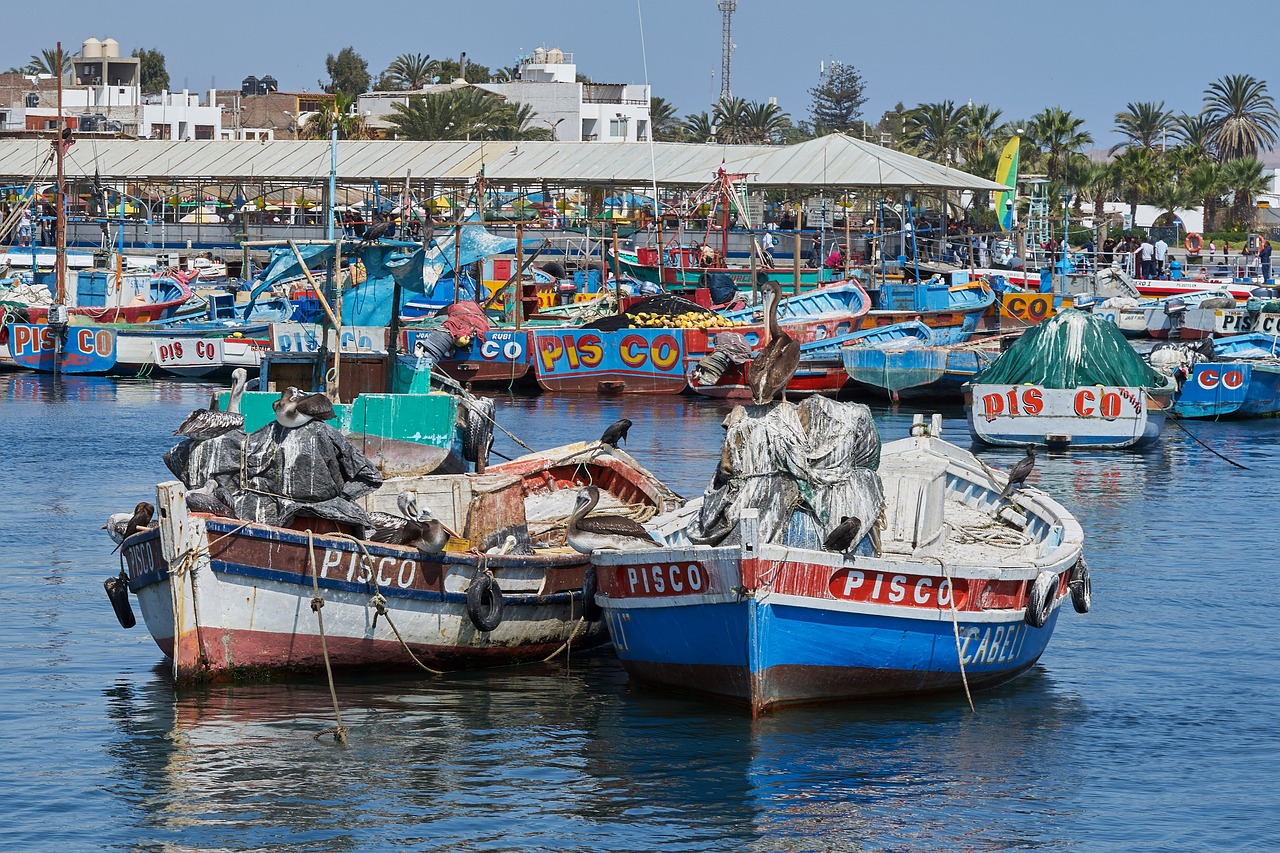 Marine Wonders and Gastronomic Delights in Pisco