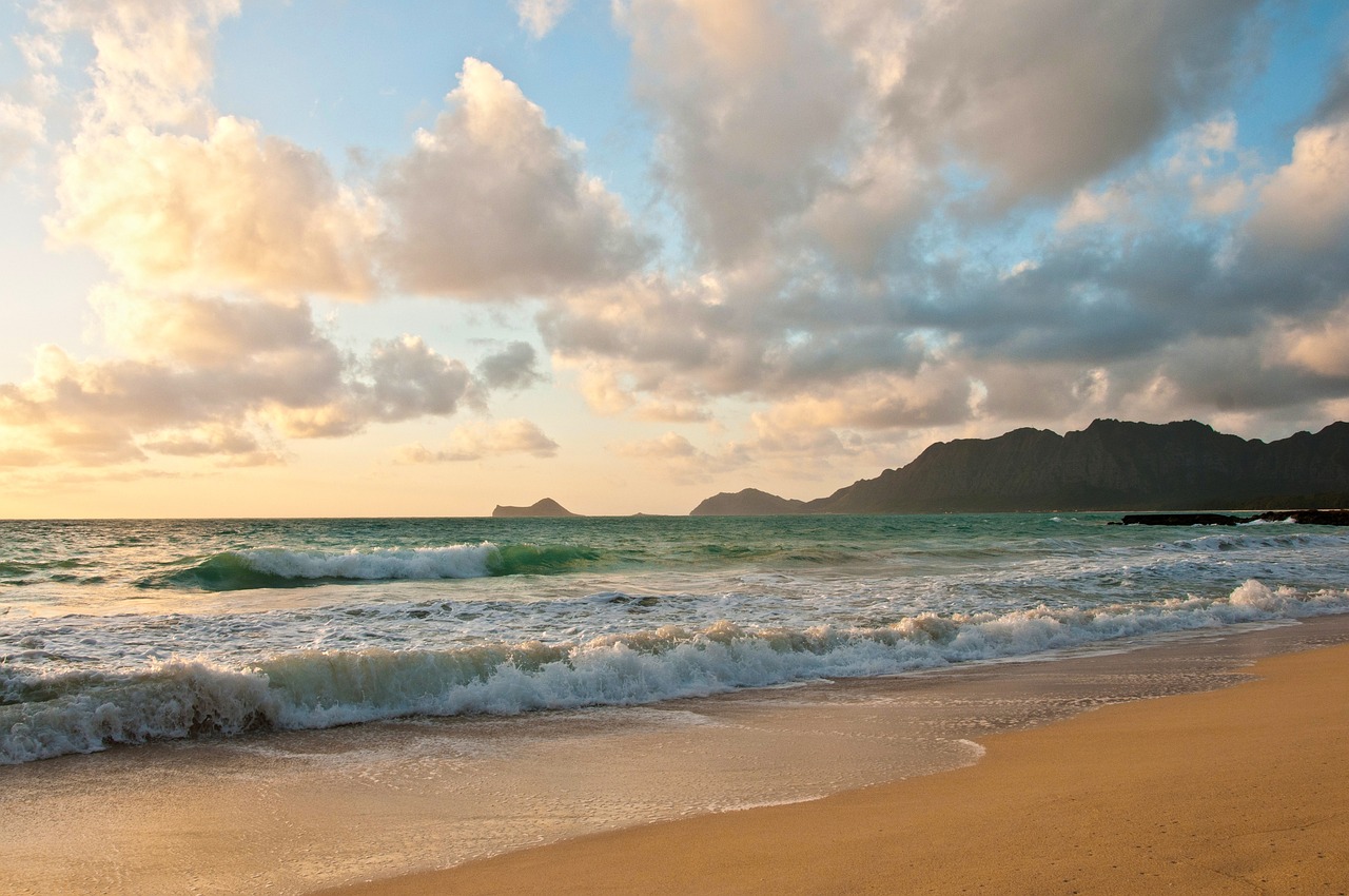 Tropical Delights in Waimanalo