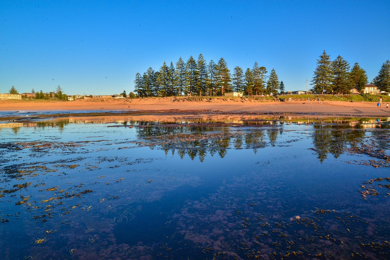 A Taste of McLaren Vale in a Day