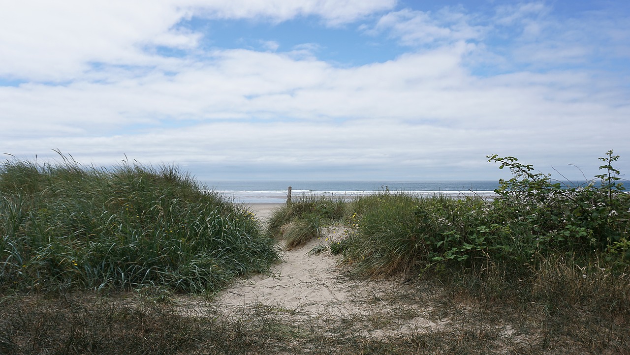 Coastal Delights in Manzanita, Oregon