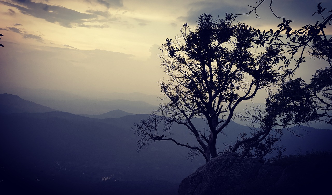 Serene Day in Yercaud