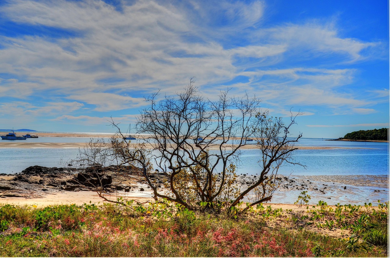 Coastal Delights in Agnes Water and 1770