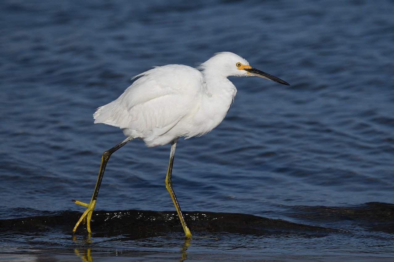 Family Fun in Santa Barbara: Beaches, Food, and Nature