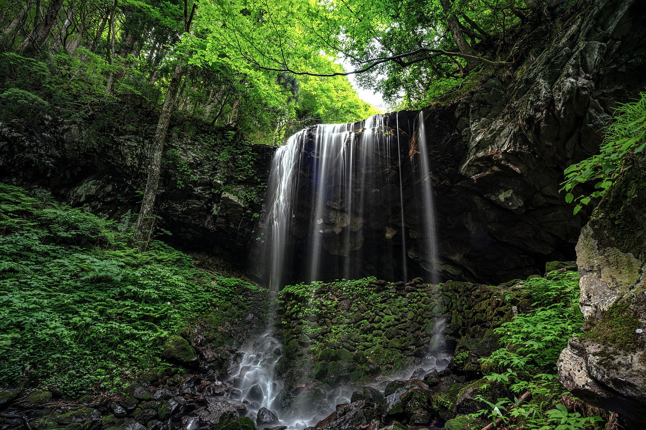 Southern Honshu Family Adventure