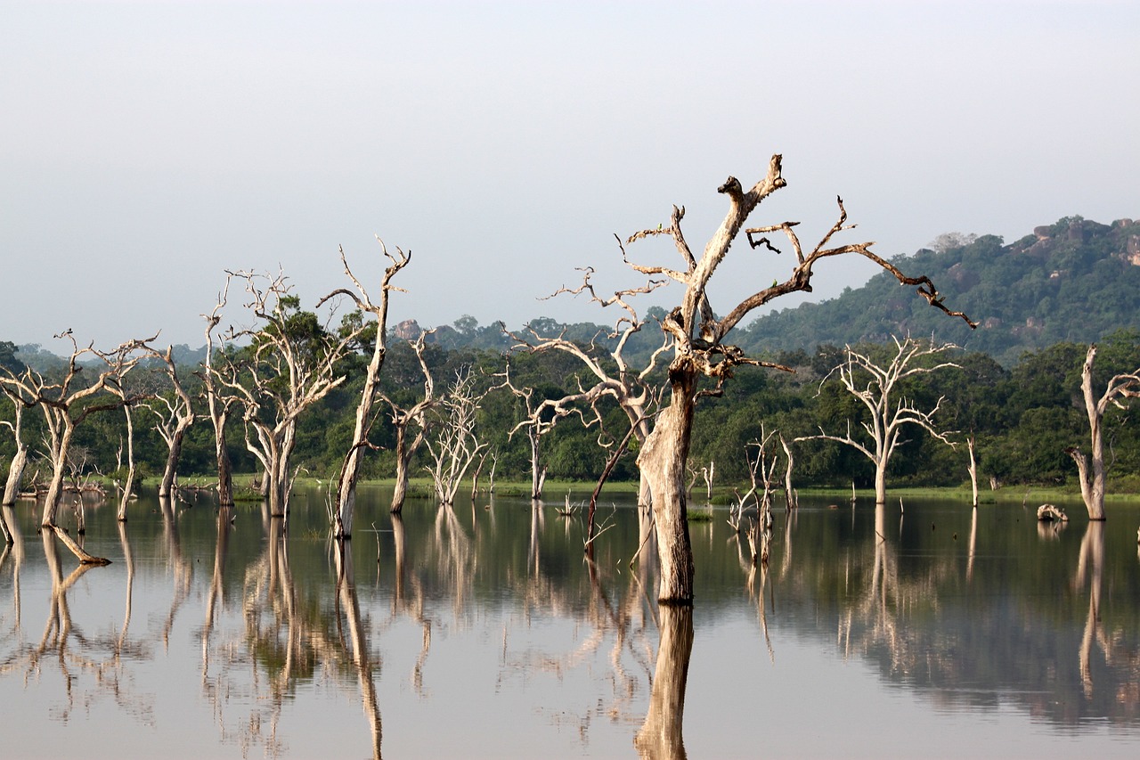 Wildlife and Adventure in Sri Lanka with Kids