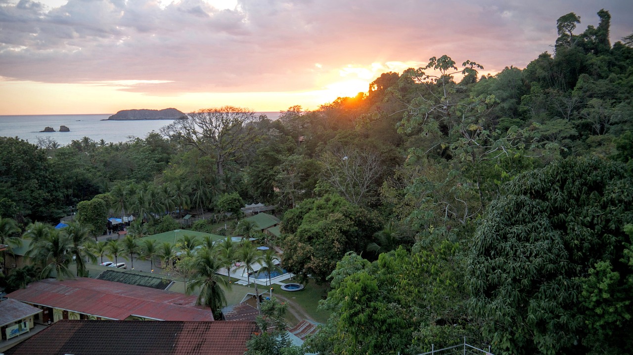 Wildlife, Nature, and Beach Adventure in Manuel Antonio