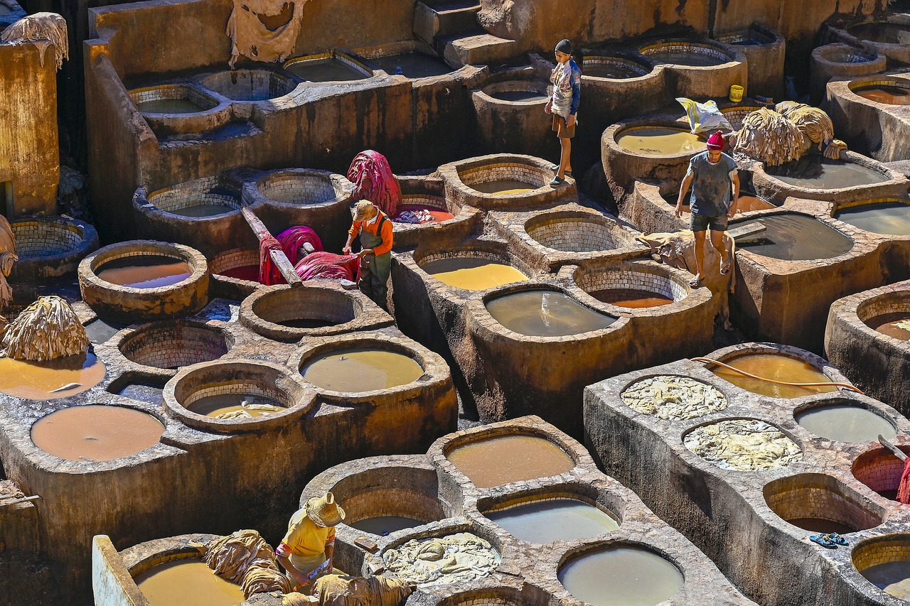 Cultural Discovery in Fes and Excursion to Chefchaouen