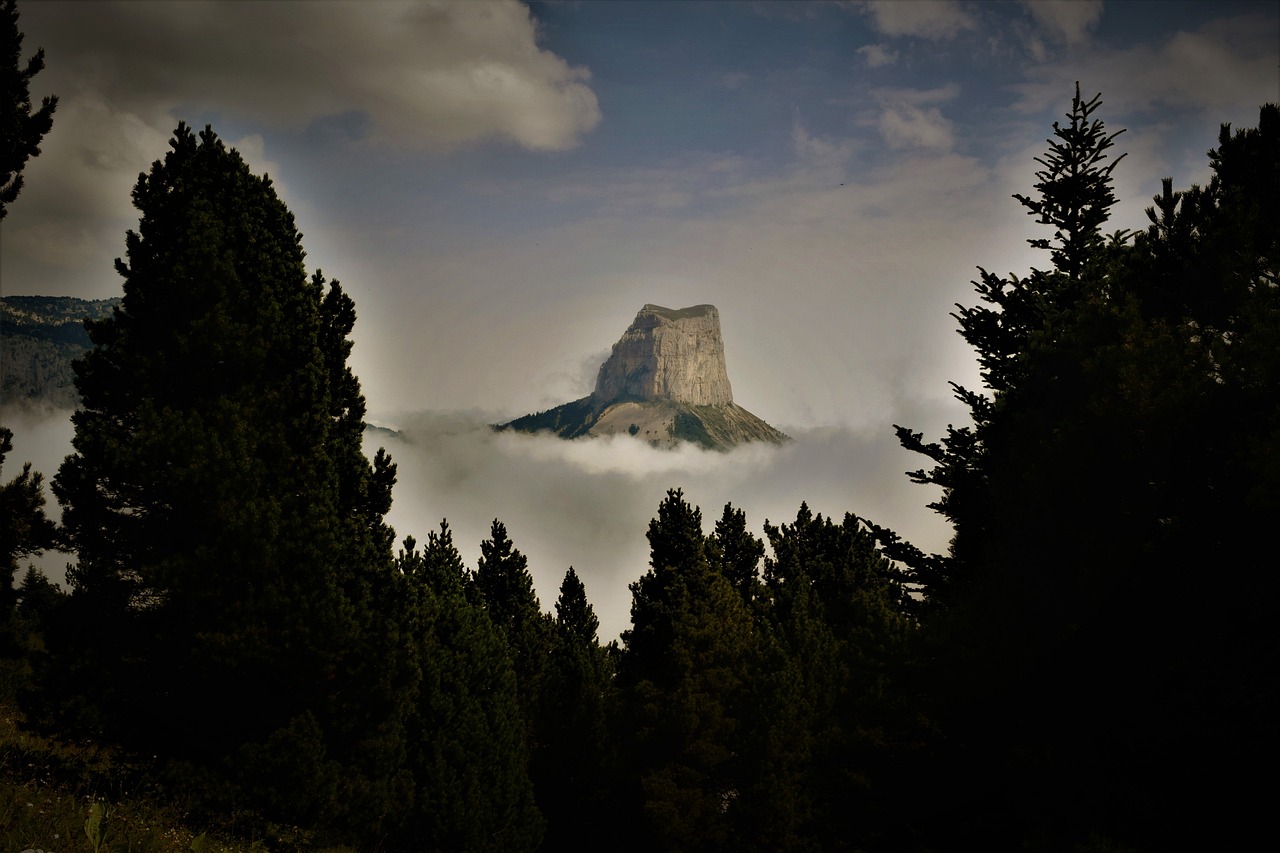 Culinary Delights in Vercors