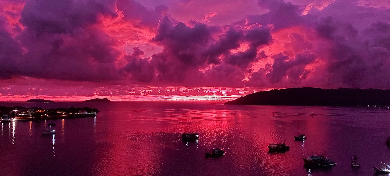 Aventure Naturelle à Kota Kinabalu