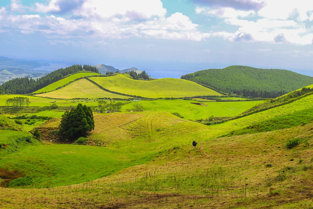 Family Fun in Nature: A 7-Day Adventure in São Miguel