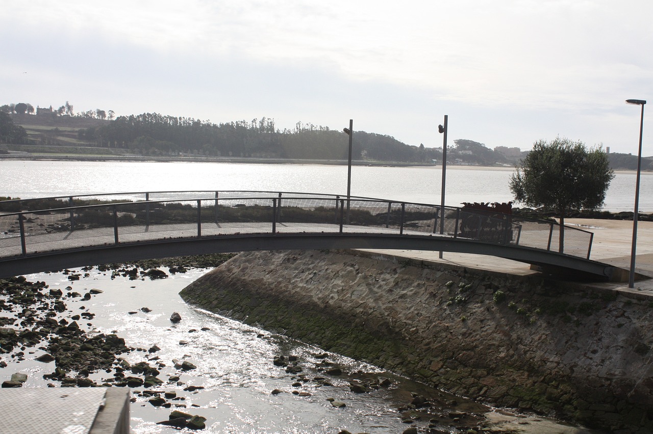 Culinary Delights in Vila Nova de Foz Côa