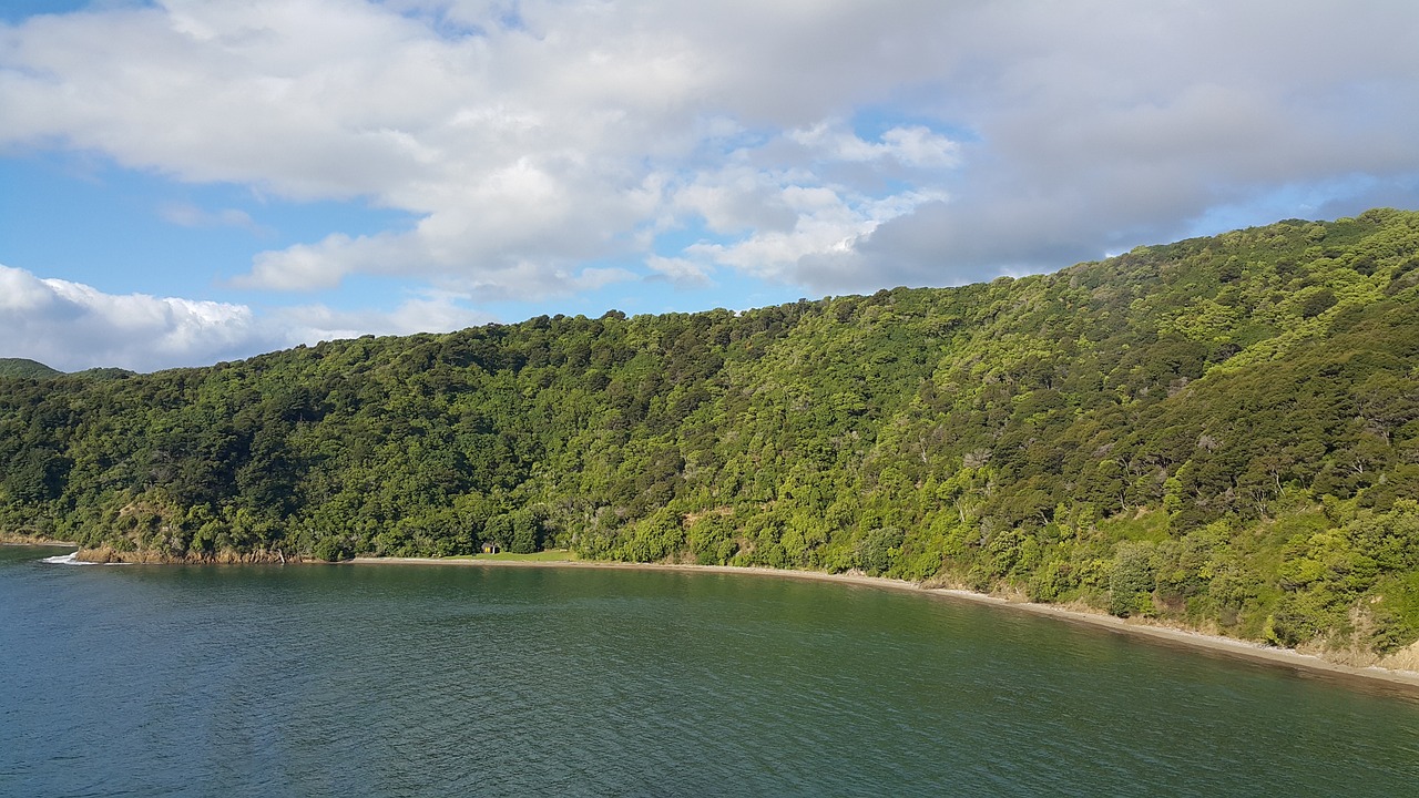 Outdoor Adventure Road Trip from Picton to Christchurch