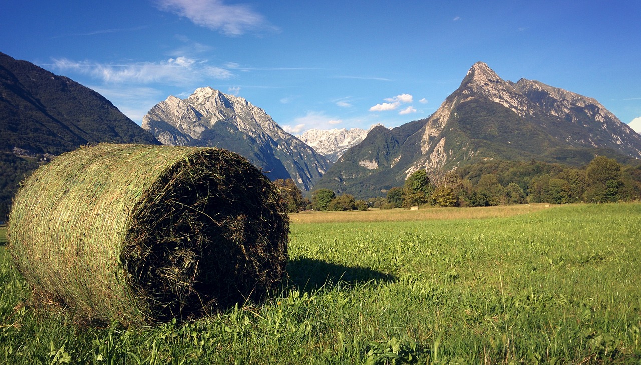 Nature and Gastronomy in Bovec