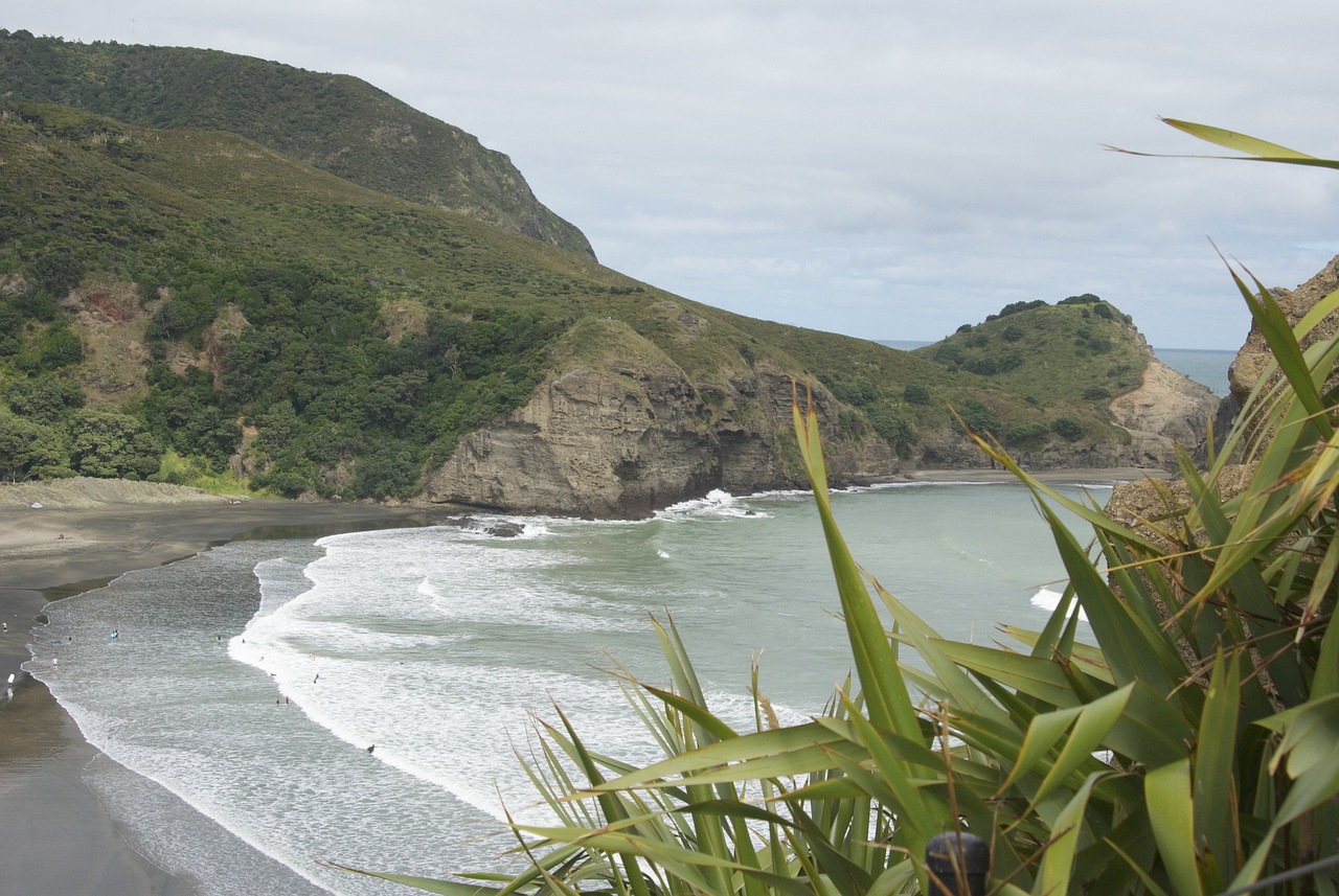 Piha Paradise: Beaches and Bushwalks