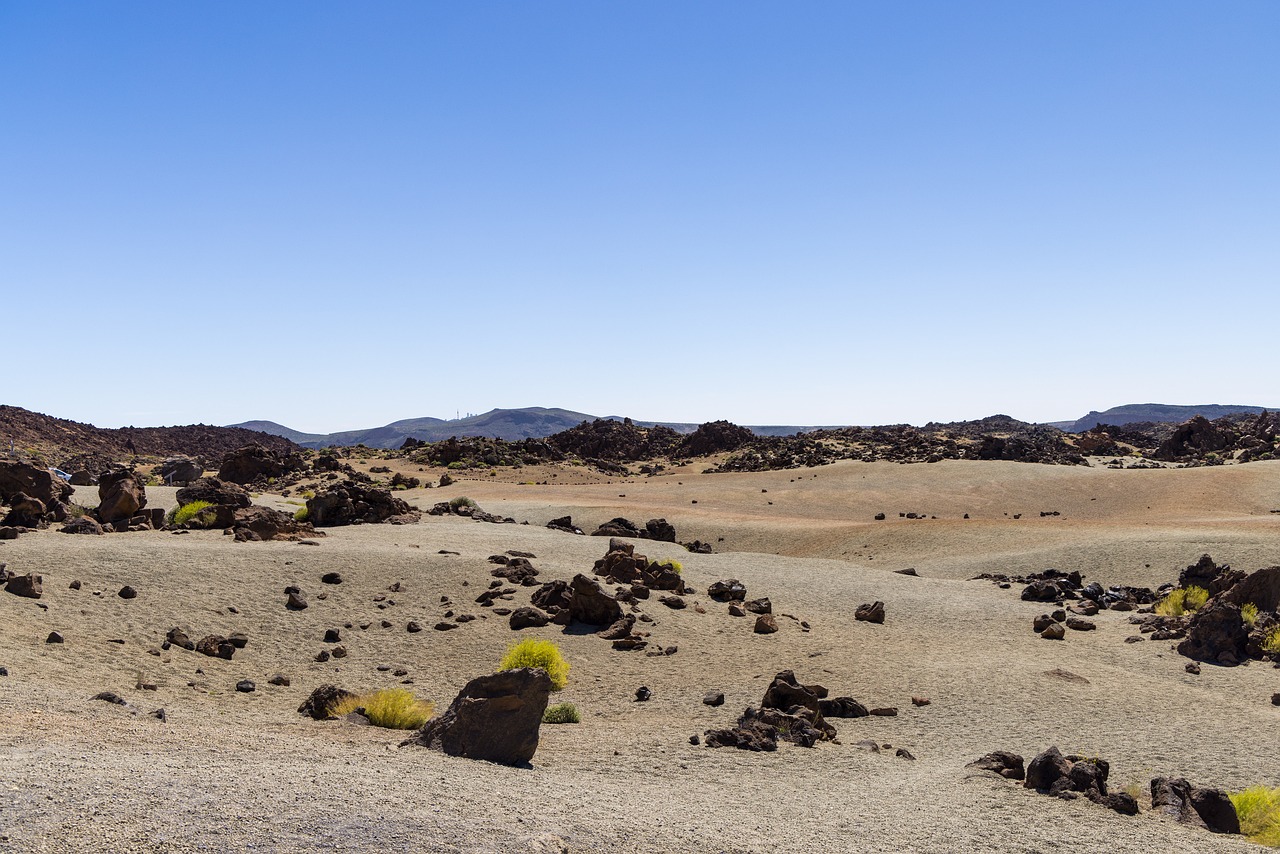 Randonnée et Dégustation au Parc National du Teide