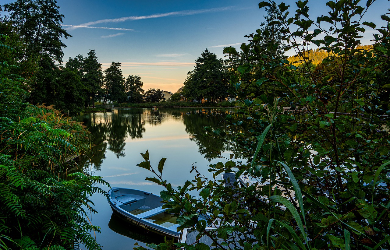 Culinary and Cultural Delights in Waldkirch and the Black Forest