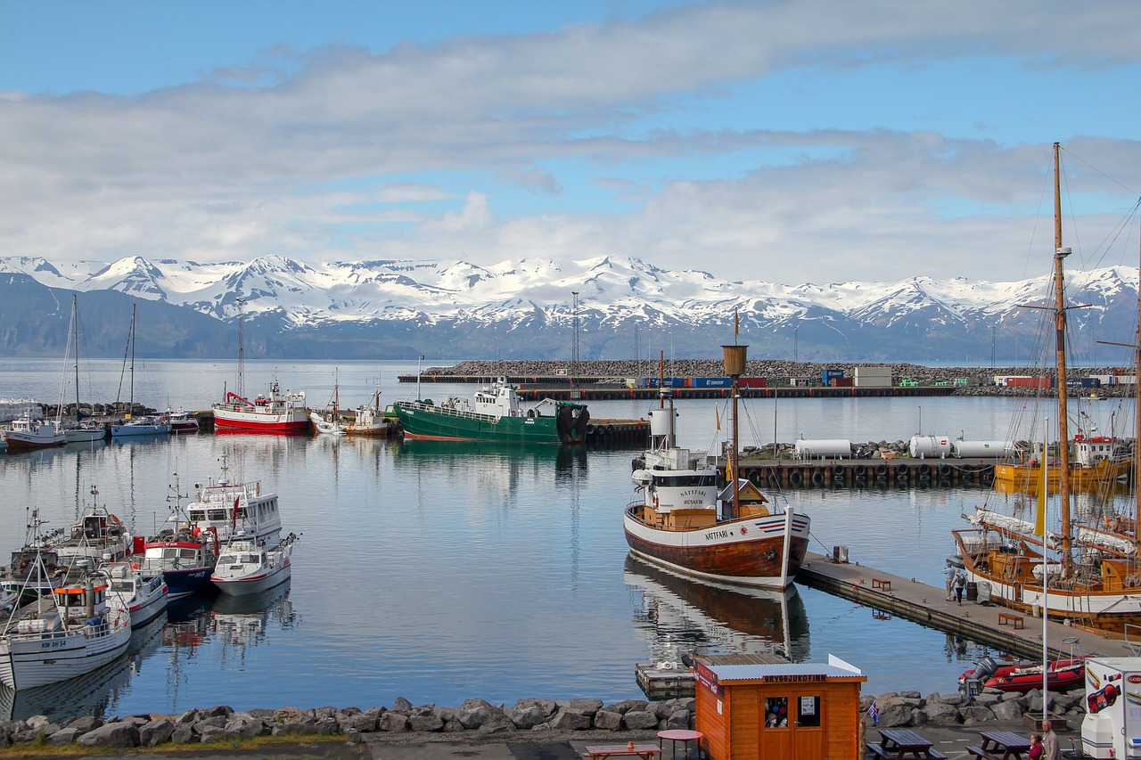 Whale-Watching and Geothermal Relaxation in Husavik