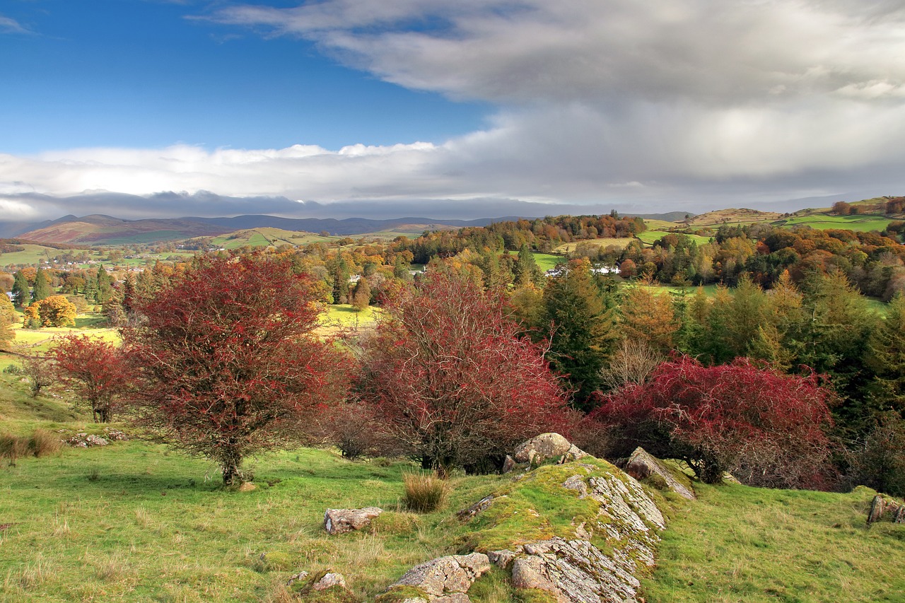 Serene Lake District Retreat: Nature, Culinary Delights, and Cultural Heritage