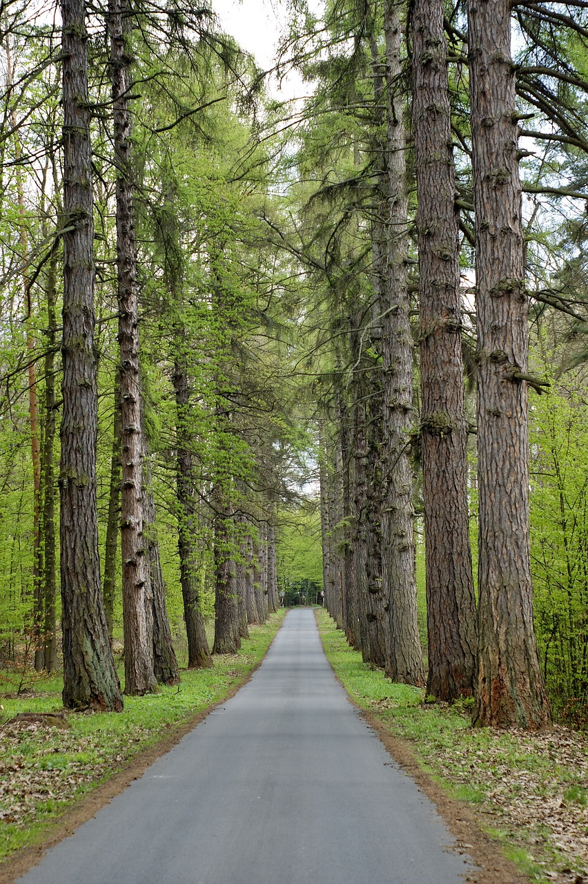 Magical 5-Day Outlander and Whisky Experience in Roslin