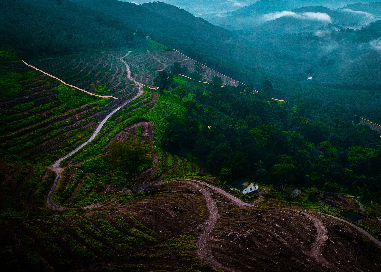 Wilderness & Culture Tour in Vagamon