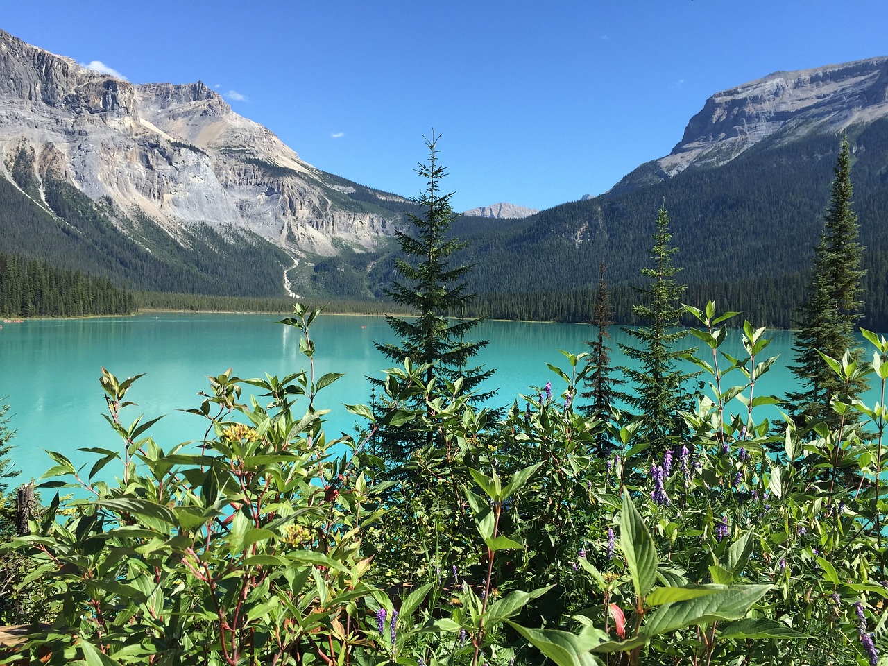 11-Day Adventure in Yoho and Jasper