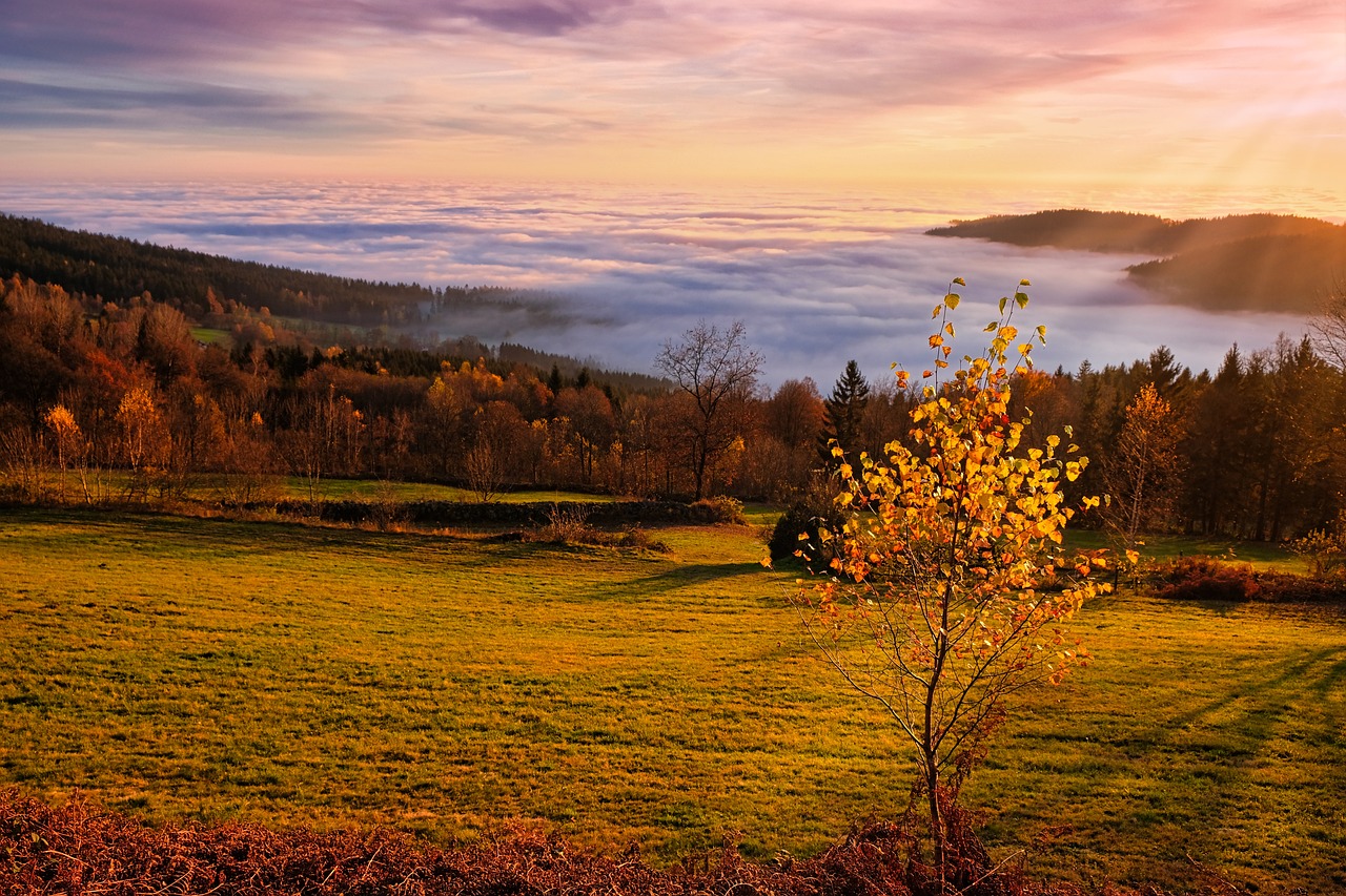 Exploring the Finger Lakes Region