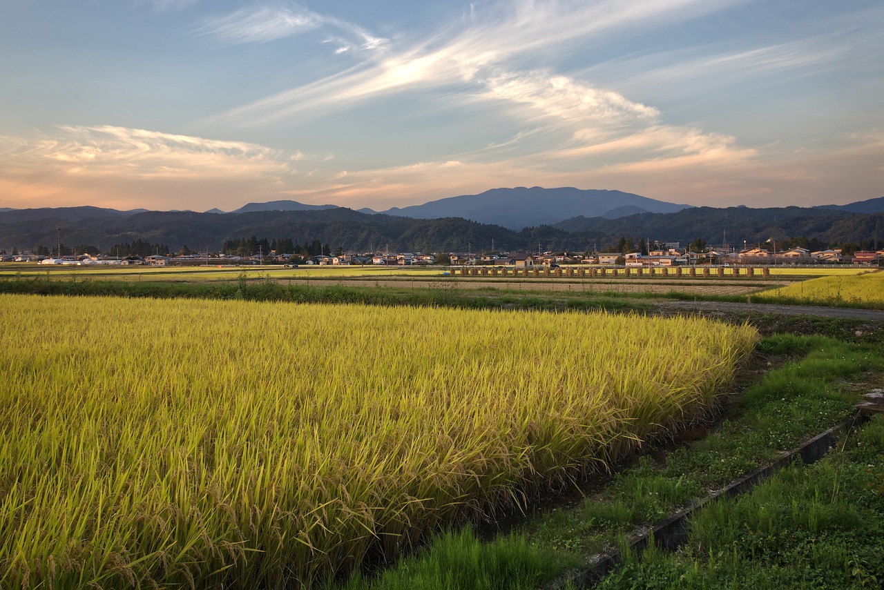 Serene Nature and Culinary Delights in Yamagata
