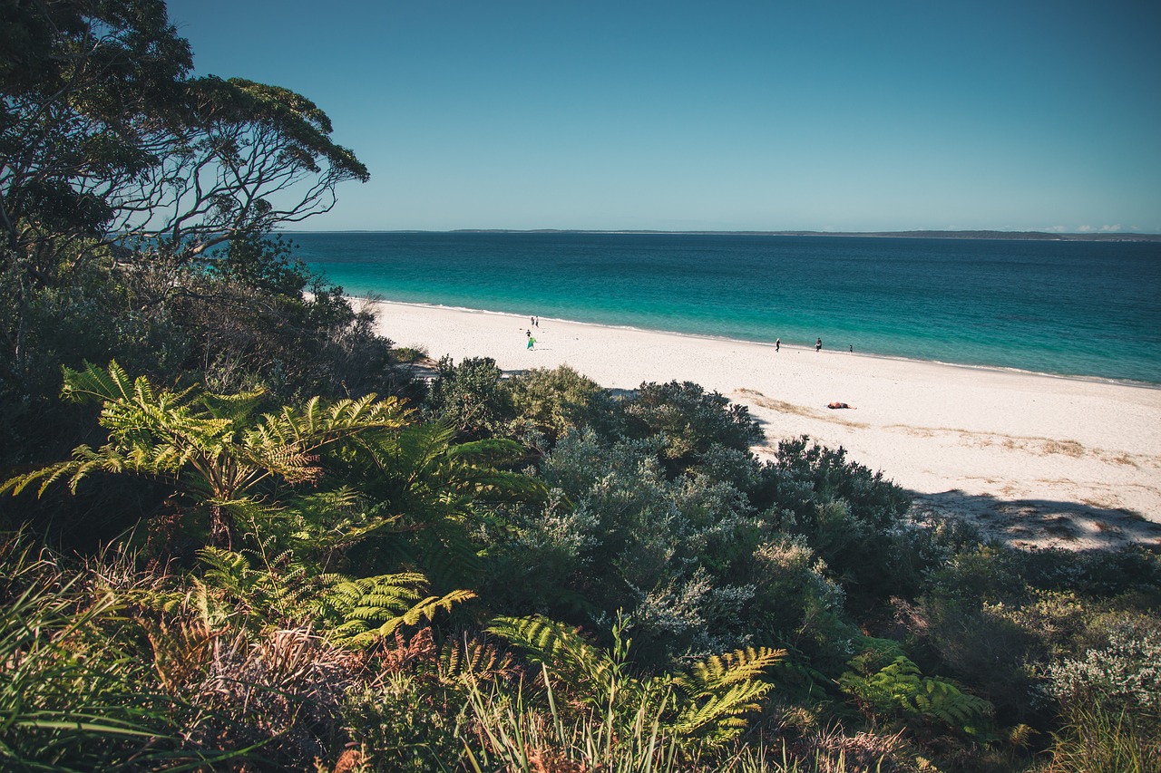 Dolphin Delights and Coastal Charms in Jervis Bay