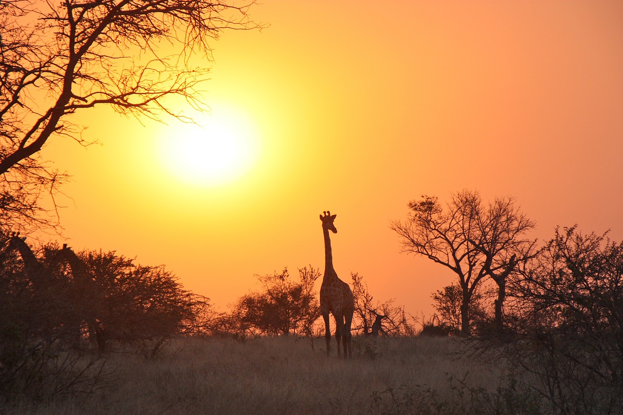 Ultimate 20-Day Southern Africa Adventure