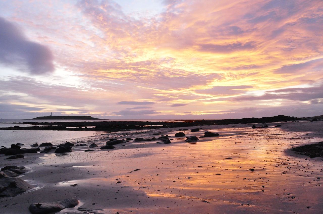 Culinary Delights of Isle of Arran