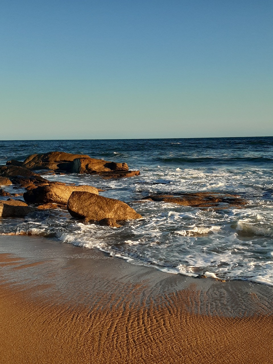 Experiencia Gastronómica y Natural en José Ignacio