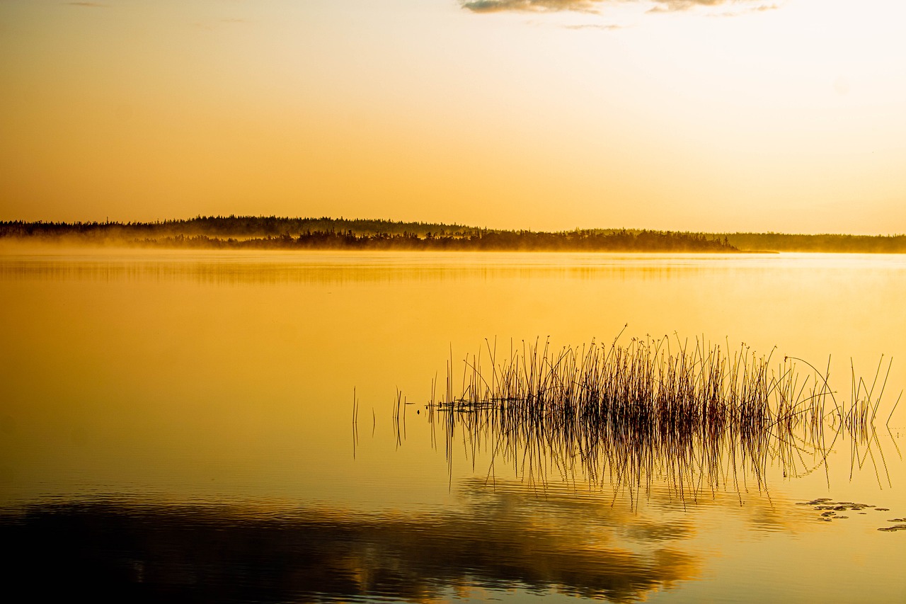 Nature's Beauty in Nova Scotia: Point Pleasant to Lawrencetown