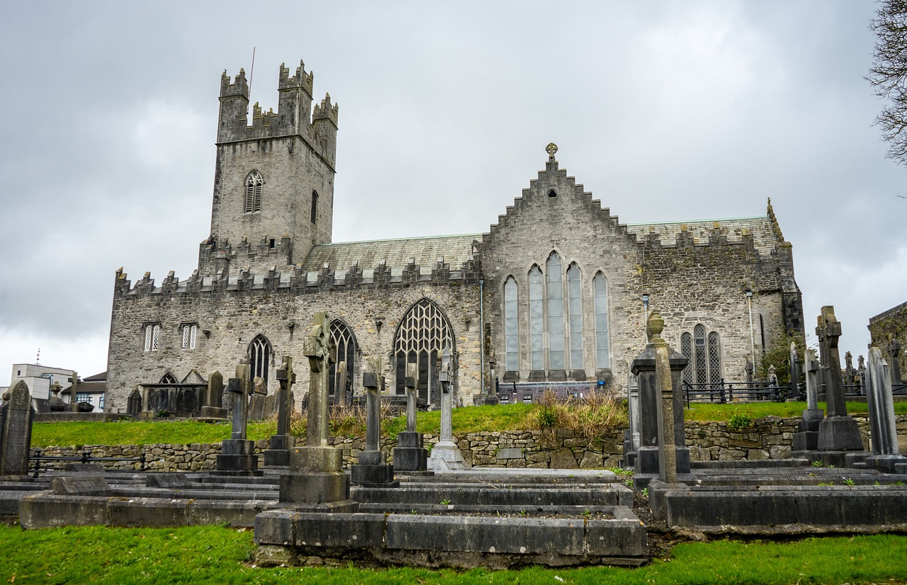 Limerick City Exploration and Local Cuisine