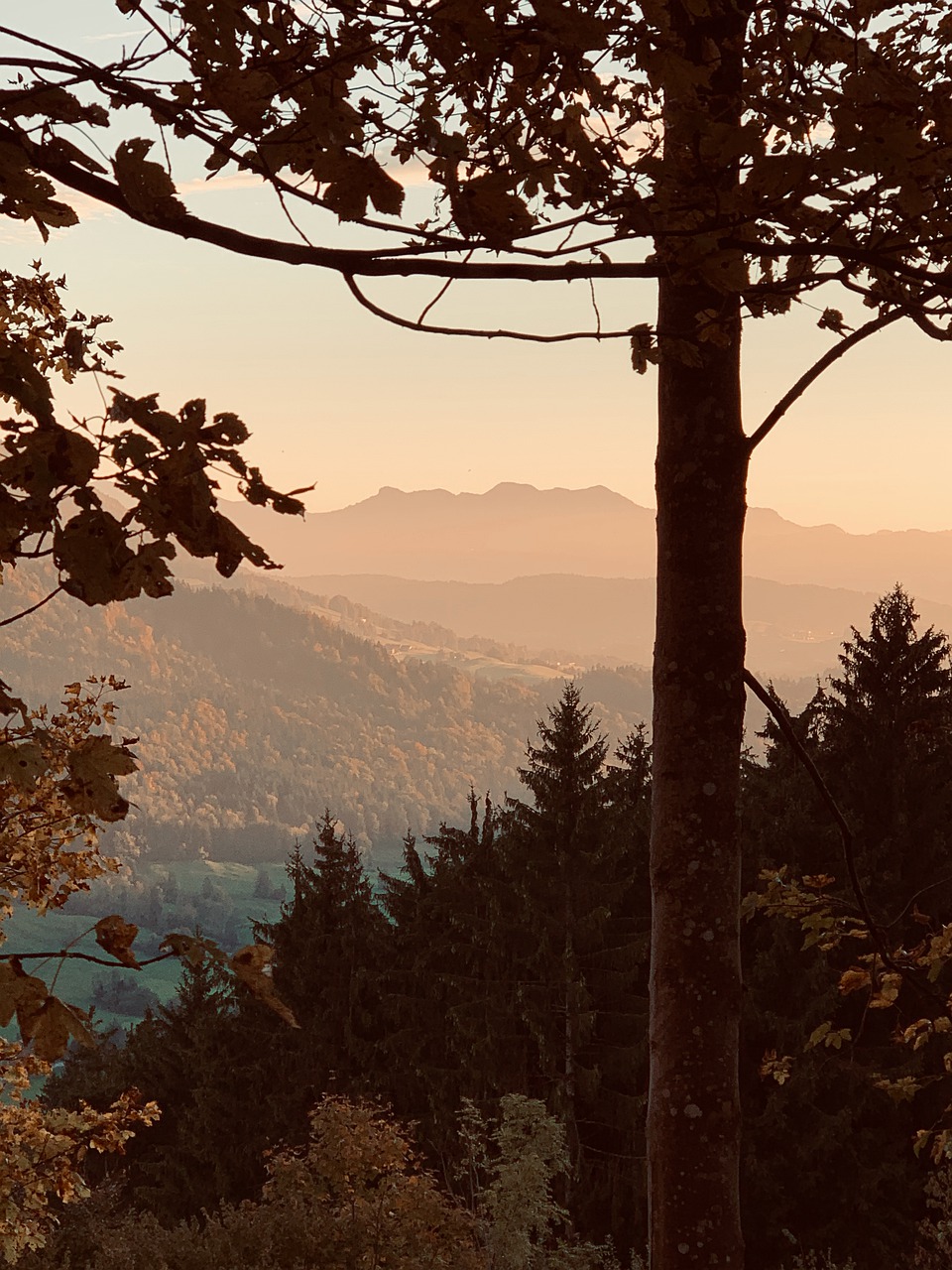 Bavarian Bliss: Outdoor Adventures in Oberstaufen