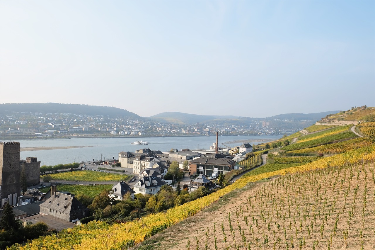 Wine and Castle Adventure in Rüdesheim