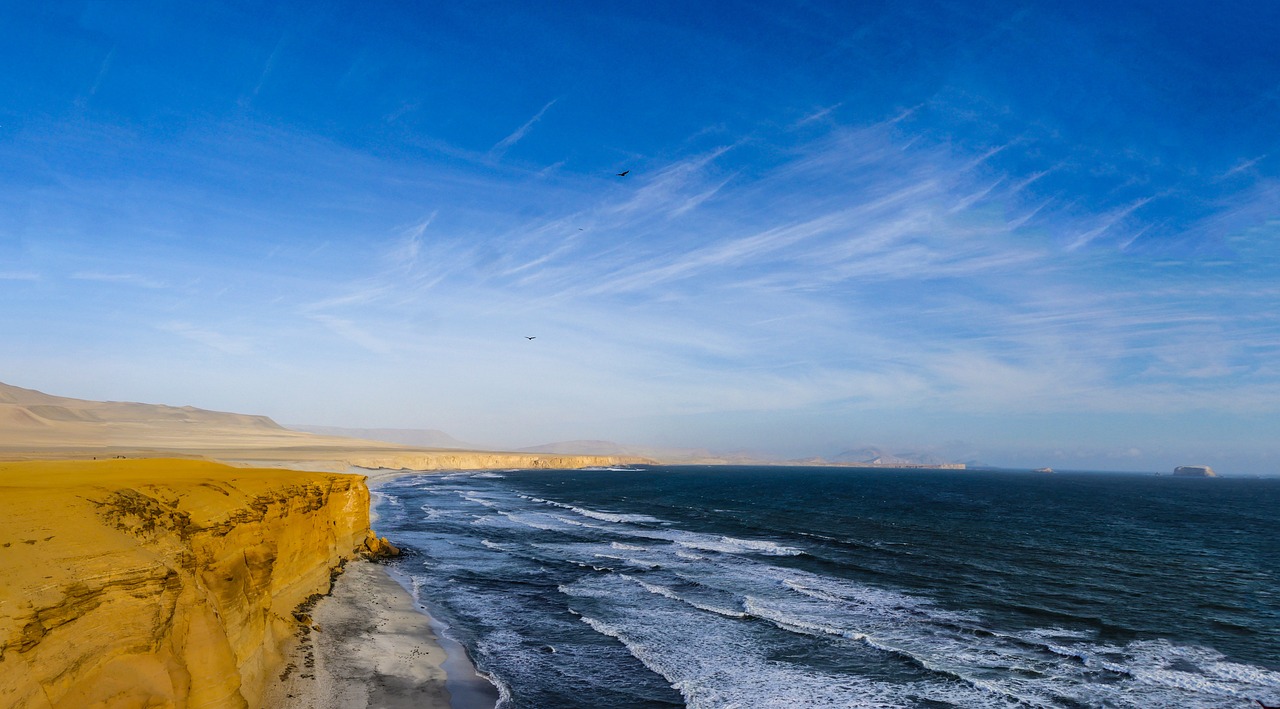 Explorando Paracas: Islas, Reserva y Oasis