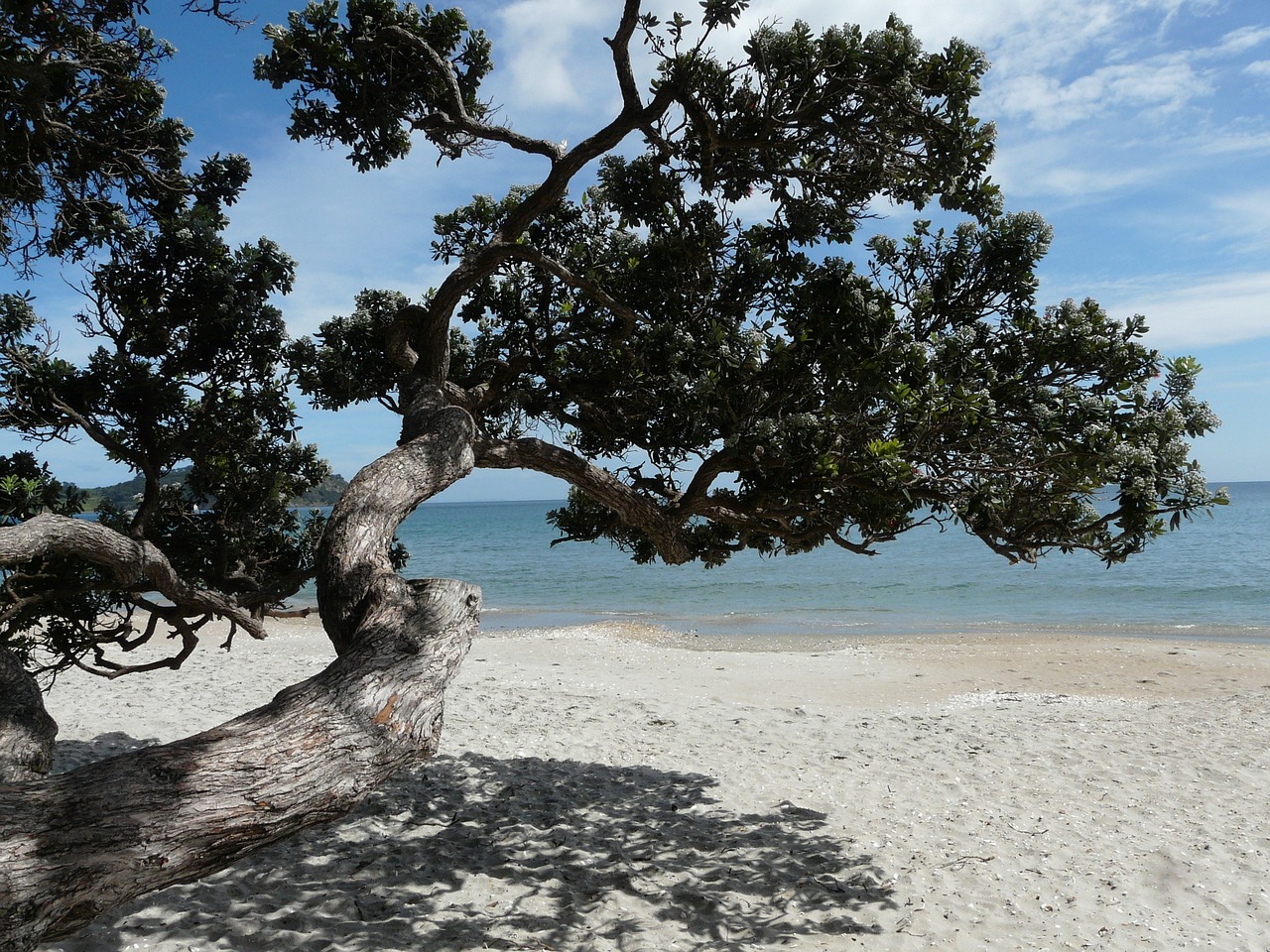 Waiheke Island Wine and Nature Escape