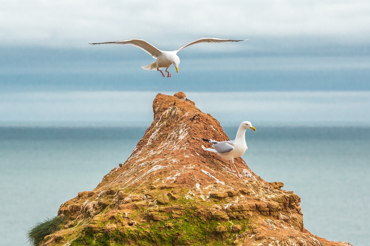 Devon Delights: A 5-Day Journey Through History and Nature