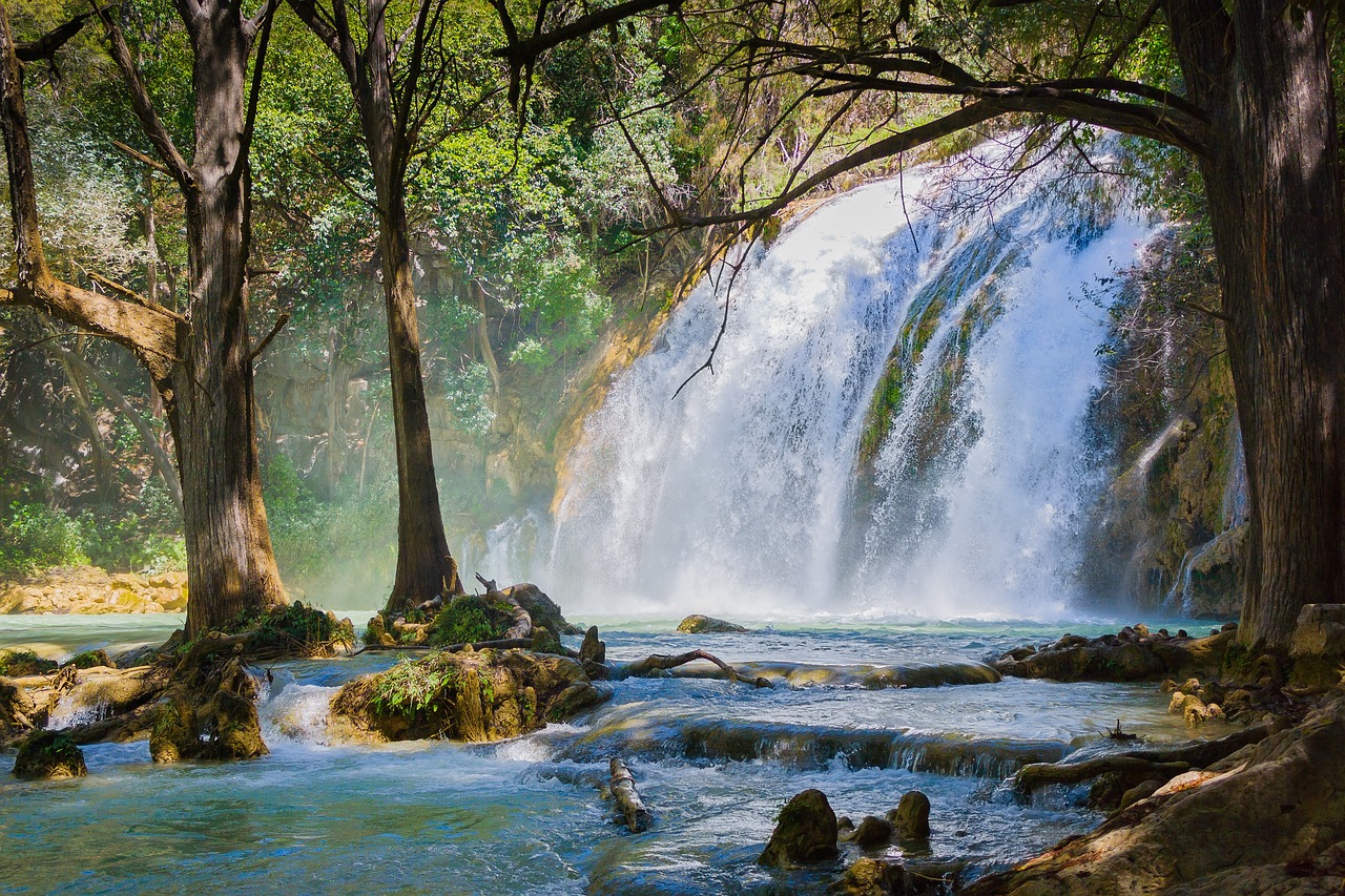 Chiapas Nature and Culture Exploration