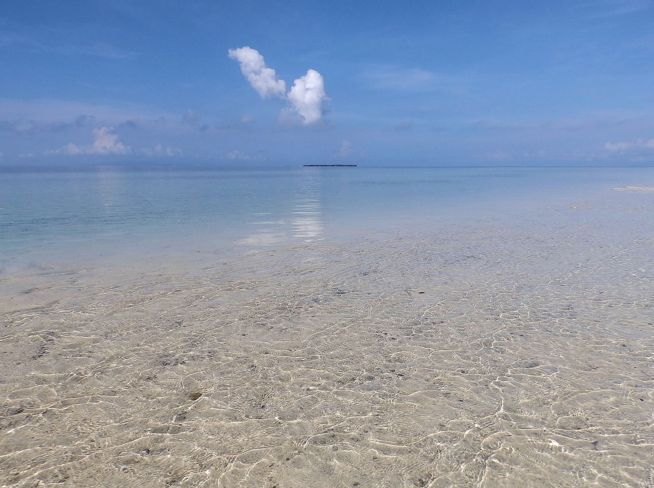 Balicasag Island Paradise Escape