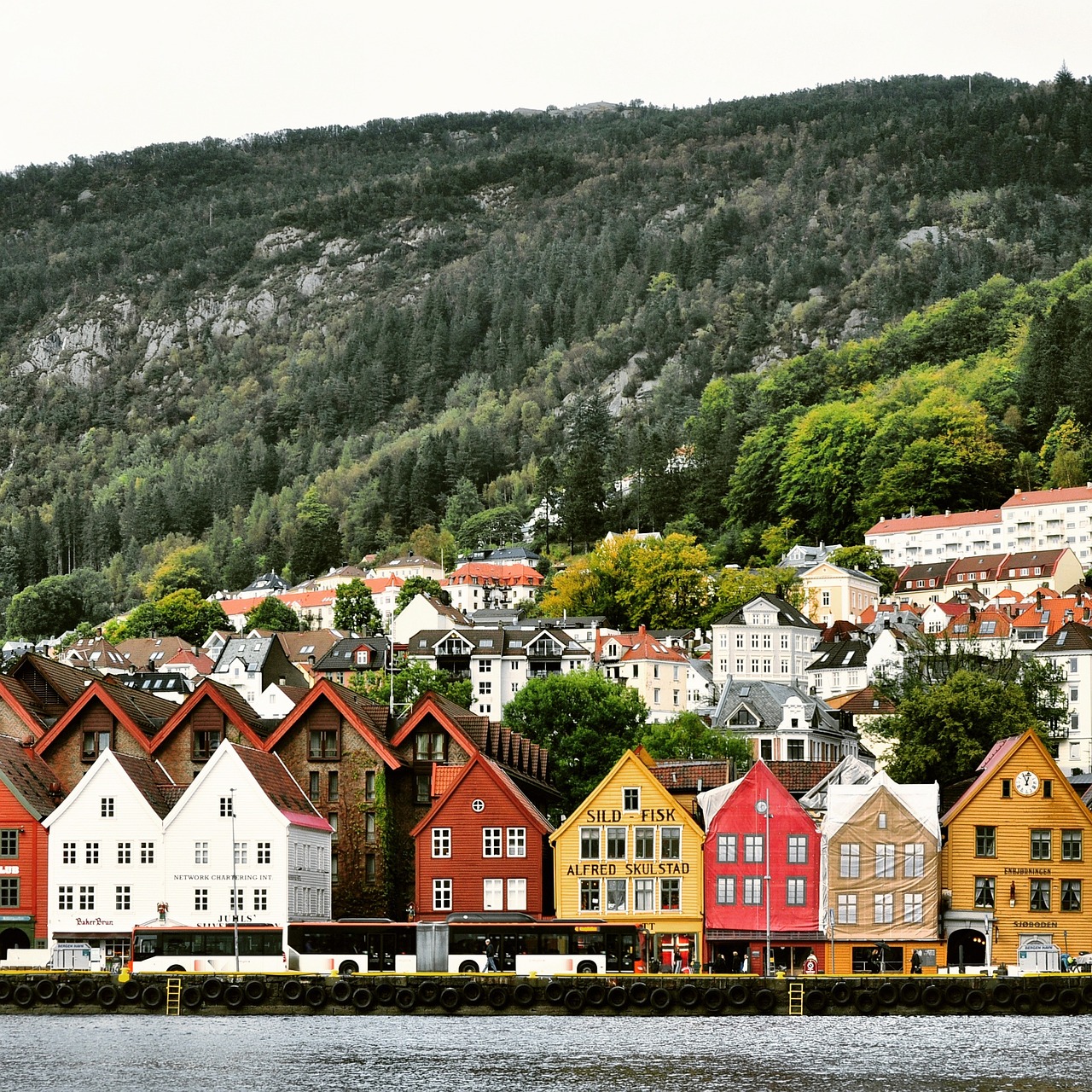 Scenic Fjords and Charming Towns: A Nature-Focused Journey from Bergen to Ålesund