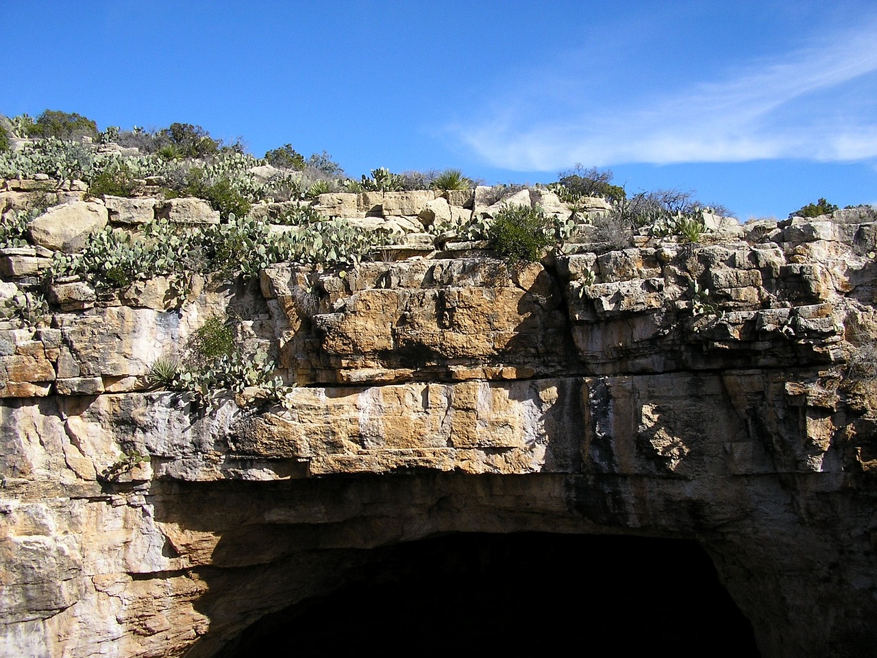 Exploring the Depths of Carlsbad Caverns