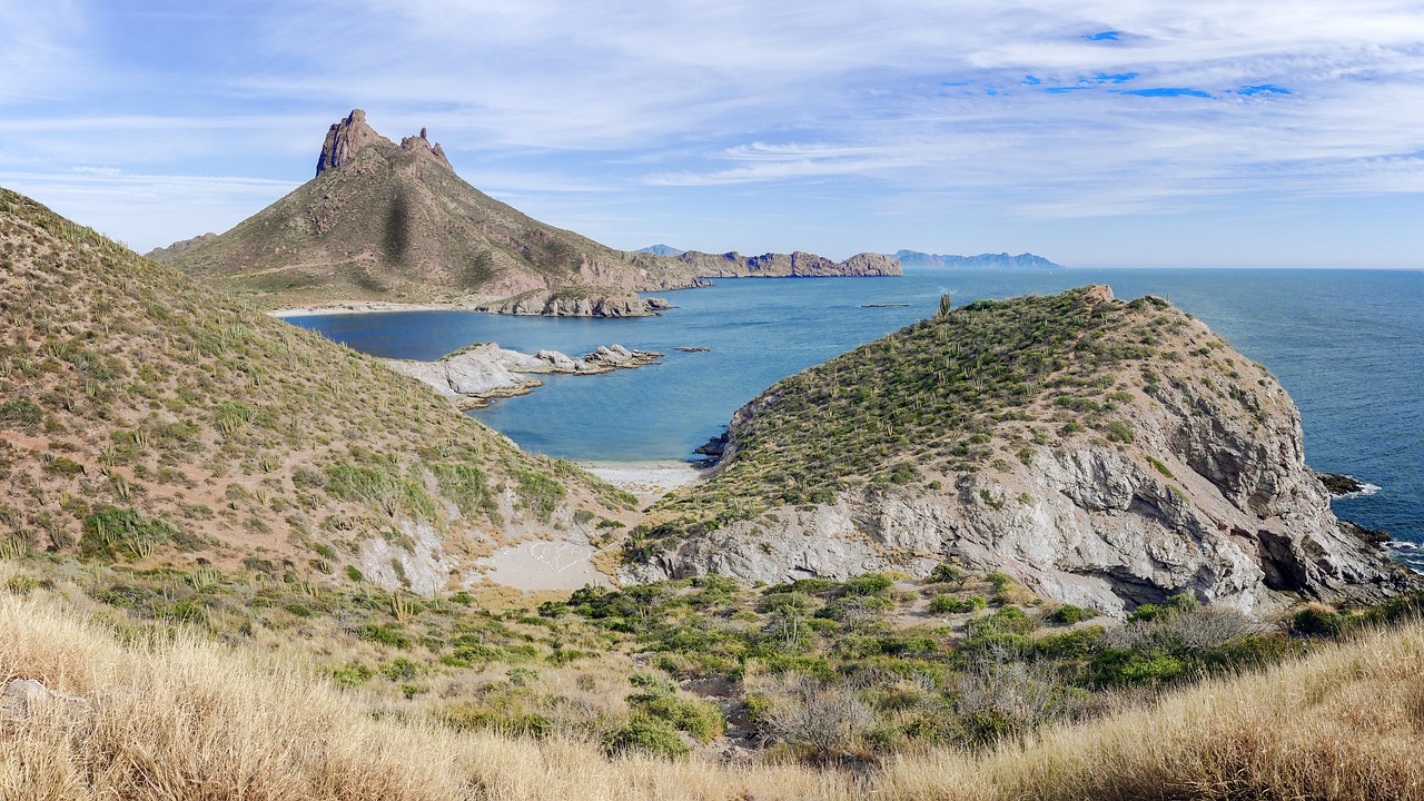 Experiencia Única en la Bahía de San Francisco